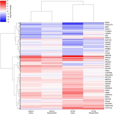 Hypoxia-Induced miR-148a Downregulation Contributes to Poor Survival in Colorectal Cancer